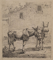 TvB G 0726
<br/>
Twee ezels
<br/>
<em>Dujardin, Karel (1622-1678)</em>